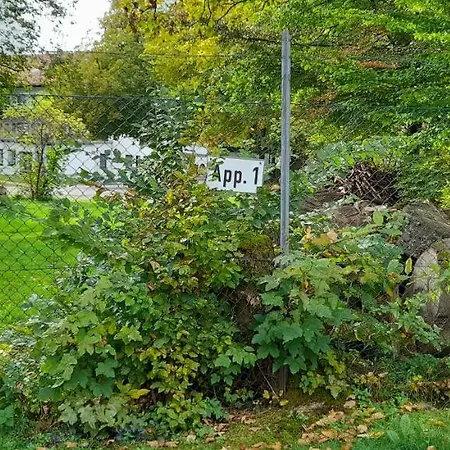 Kueck-theodor-hein-str. Apartment Goslar